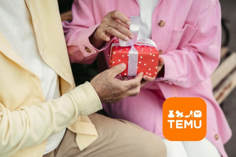 IDEI DE CADOURI DE PE TEMU caduo.ro